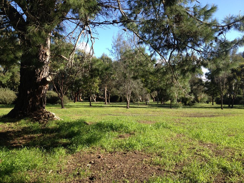 Millicent Lakeside Caravan Park Hotel Exterior photo